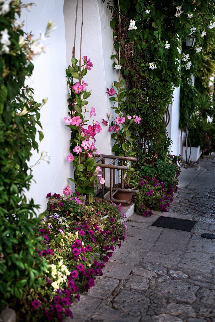 Alberobello 27